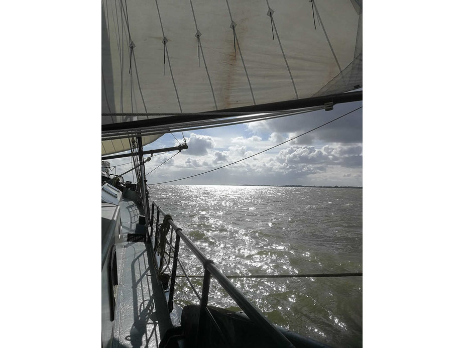 Segeltörn auf dem Ijsselmeer (Foto: Natalie Thouet)